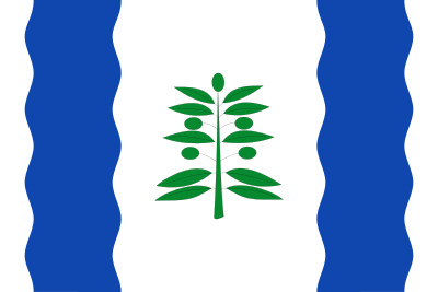 200-bandera-cinco-olivas.jpg