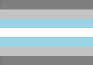 200-bandera-demiboy-demiman.jpg