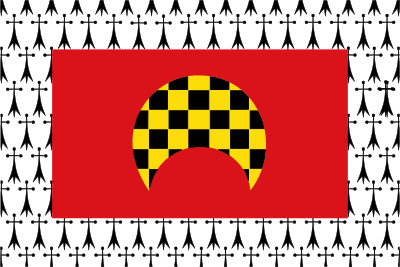 200-bandera-gelsa.jpg