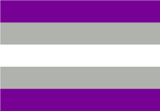 200-bandera-grisasexual.jpg